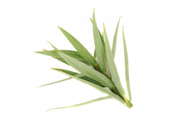 Similar image 183214