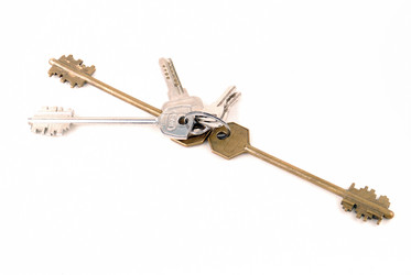 Similar image 183217