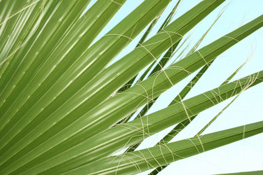 Similar image 183240