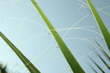 Similar image 183243