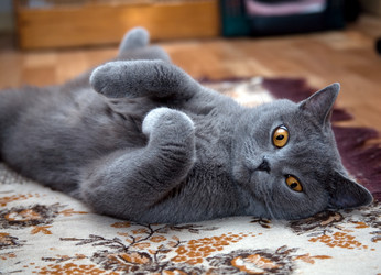 Similar image 183256