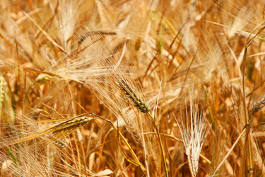 Similar image 183260