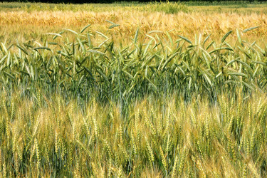 Similar image 183278