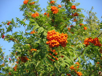 Similar image 183281