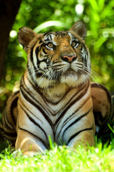 Similar image 183282