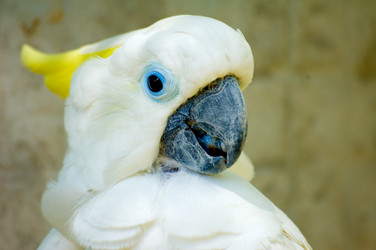 Similar image 183283