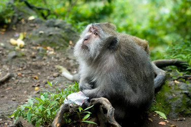 Similar image 183289