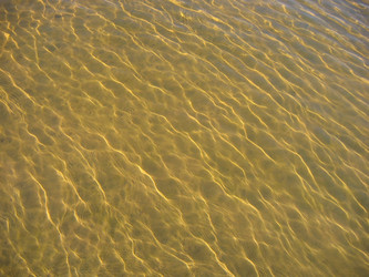 Similar image 183297