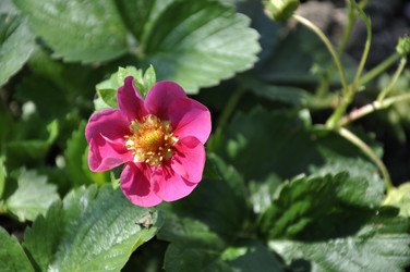 Similar image 183331