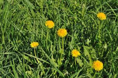 Similar image 183339