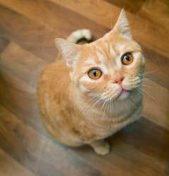 Similar image 183350