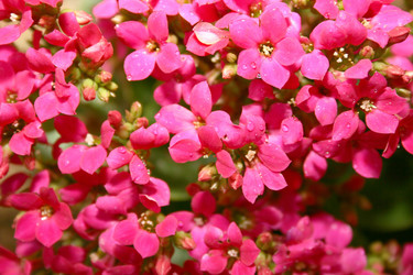 Similar image 183383