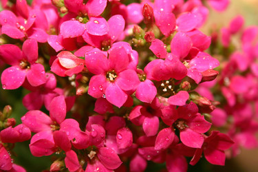 Similar image 183384