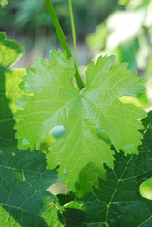 Similar image 183410