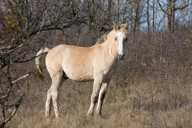 Similar image 183427