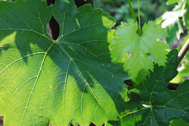 Similar image 183449