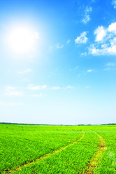 Similar image 183475