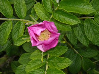 Similar image 183488