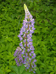 Similar image 183490