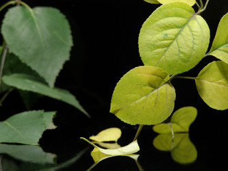 Similar image 183523