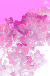 Similar image 183539