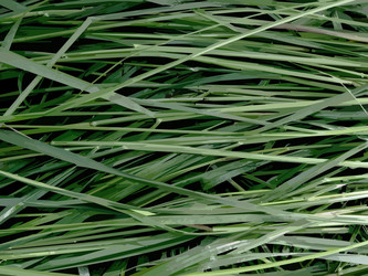 Similar image 183565