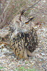 Similar image 183576