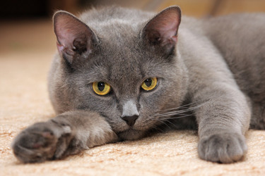 Similar image 183578