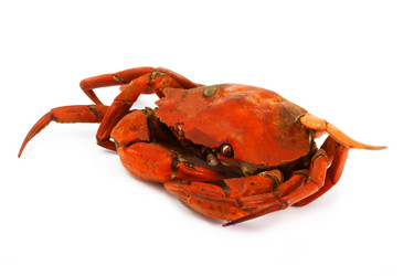 Similar image 183609