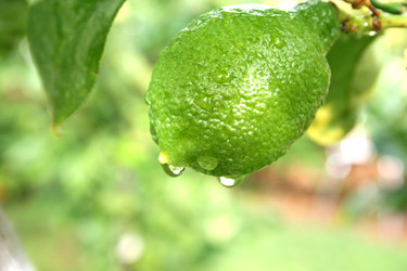 Similar image 183618