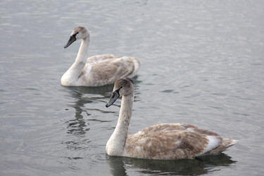 Similar image 183628