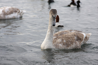 Similar image 183630