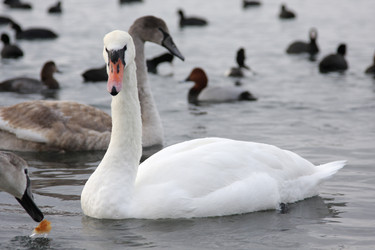 Similar image 183633