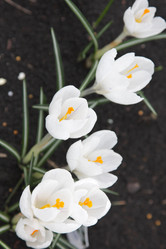 Similar image 183639