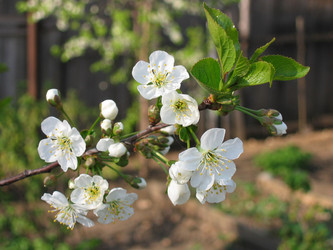 Similar image 183667