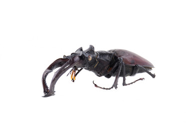 Similar image 183681