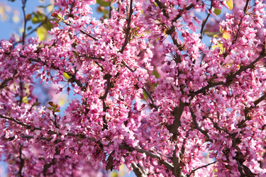 Similar image 183694