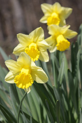 Similar image 183696