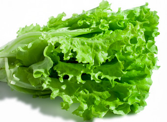 Similar image 183712