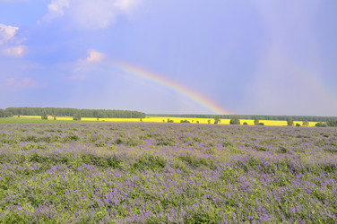 Similar image 183751