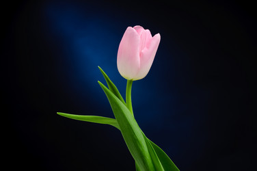 Similar image 183759