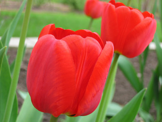 Similar image 183760