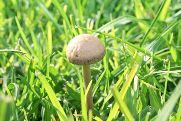 Similar image 183778