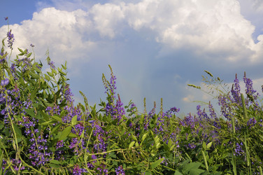 Similar image 183780