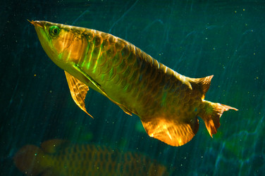 Similar image 183806