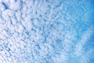 Similar image 183814