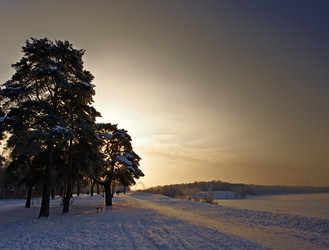 Similar image 183843