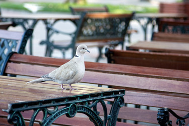 Similar image 183848