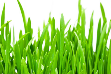 Similar image 183885