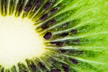 Similar image 183887